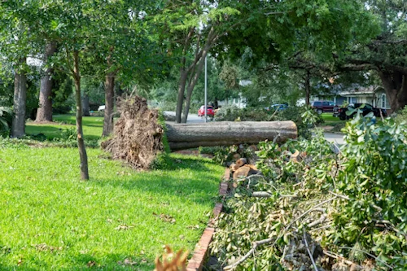 Natural Disaster Response & Recovery: Trailers for Disaster Preparedness